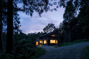 A cabin with a sloped roof, large windows, and a gravel driveway surrounded by dense forest.