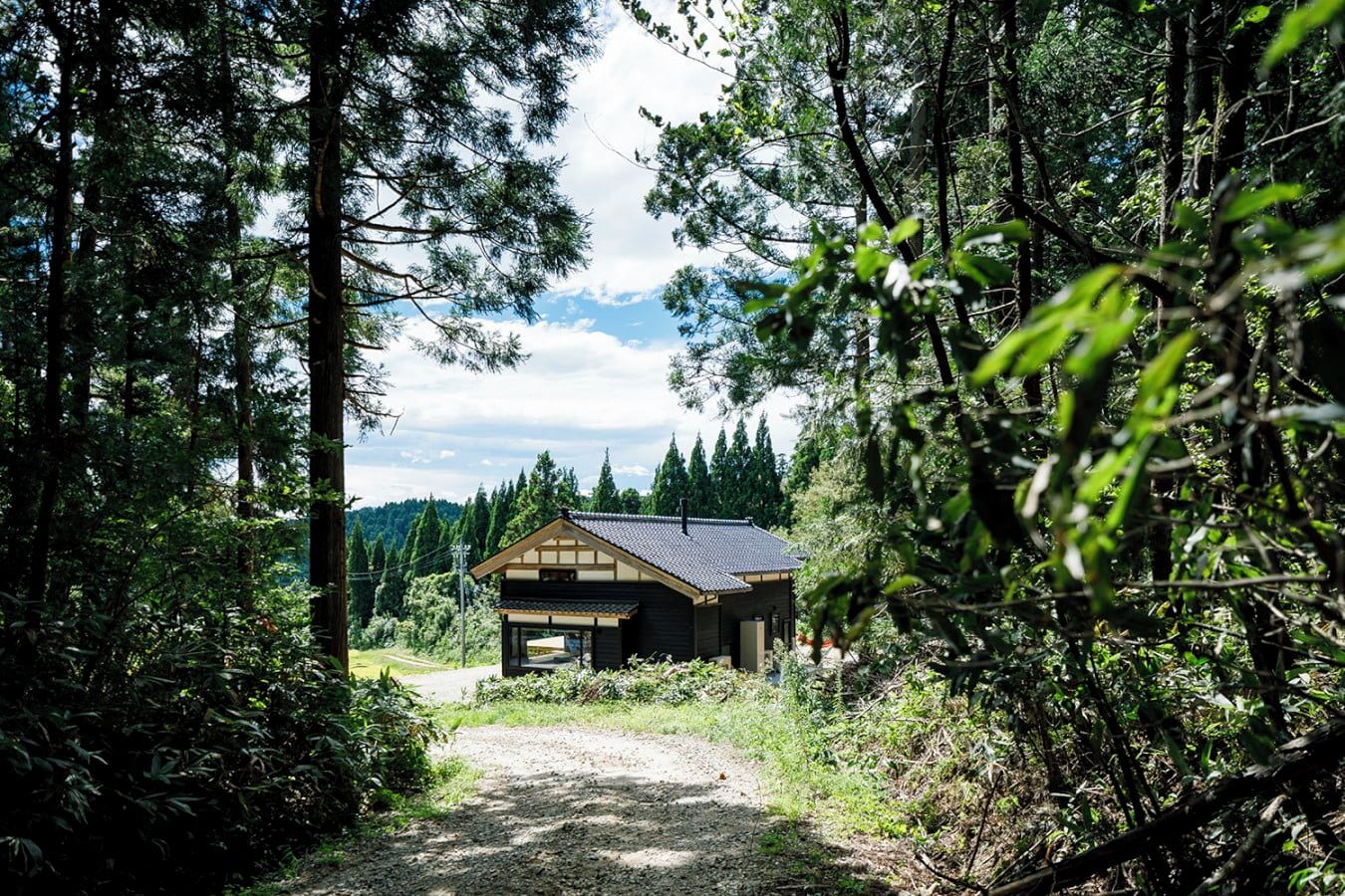 A cabin surrounded by dense forest, with a gravel path leading to it.