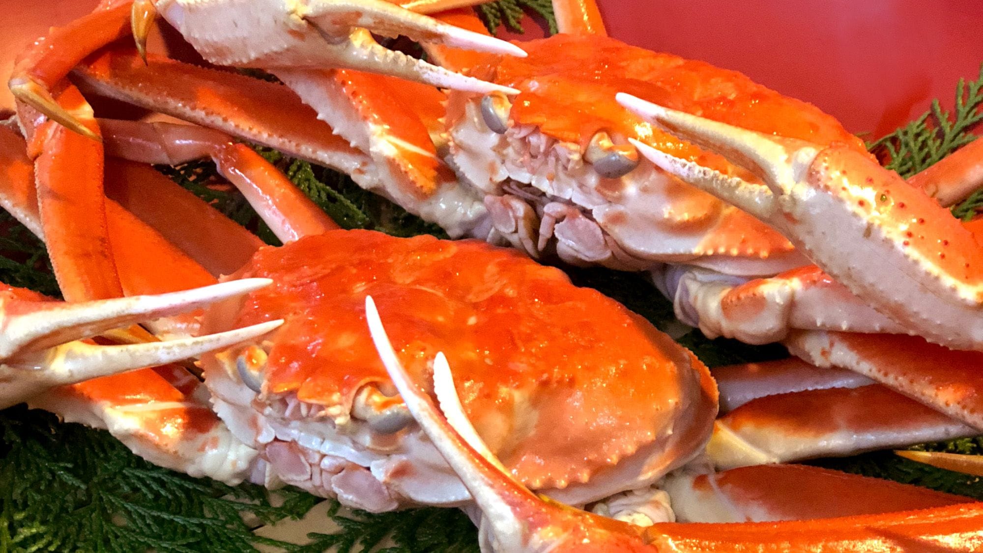 A close-up of a cooked crab with visible claws and legs.