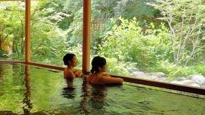 An indoor swimming pool with clear glass walls, surrounded by lush greenery. - Ureshino Onsen Taishouya (Ureshino)