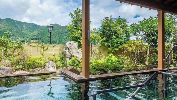 A pool area with clear water, a wooden deck, and a view of mountains. - Hotel Zuiyo (Atami)