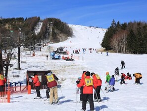 Sneeuw- en skisporten