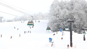 Lumi- ja hiihtourheilulajit