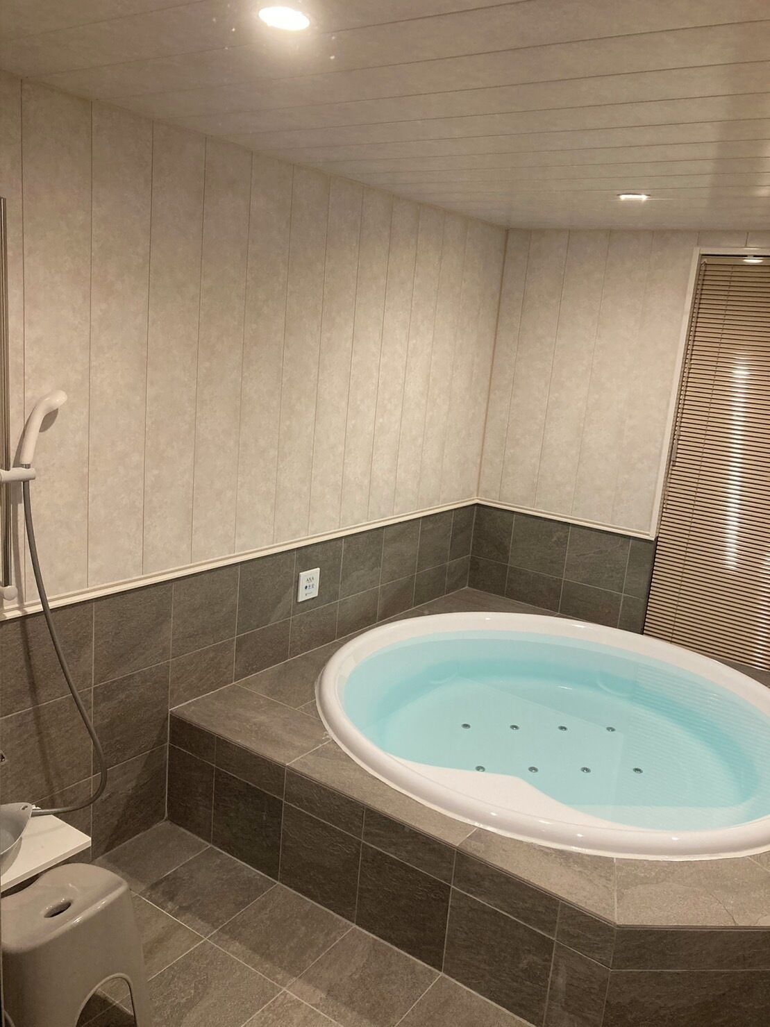 A modern bathroom with a freestanding bathtub, a showerhead, and a toilet.