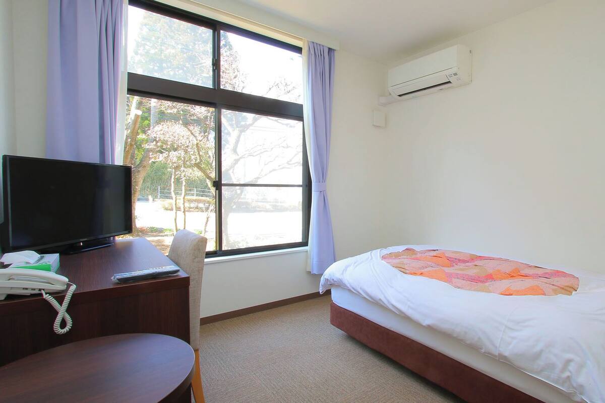 Une chambre d’hôtel avec un lit, un bureau avec une télévision, une chaise et une fenêtre avec des rideaux.