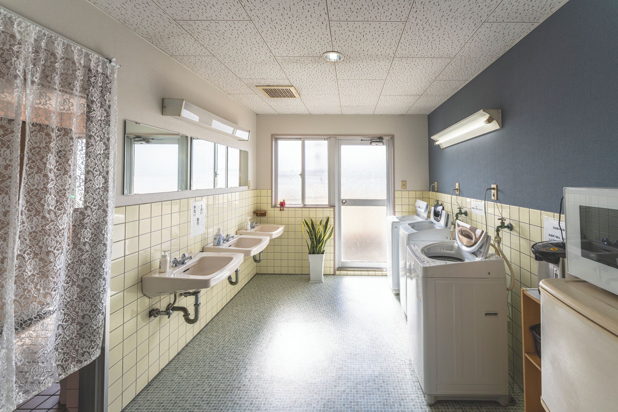 A hotel bathroom with multiple sinks, a mirror, a potted plant, and a laundry machine.