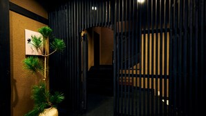 A hallway with a potted plant, a framed picture, and a dark wooden gate.