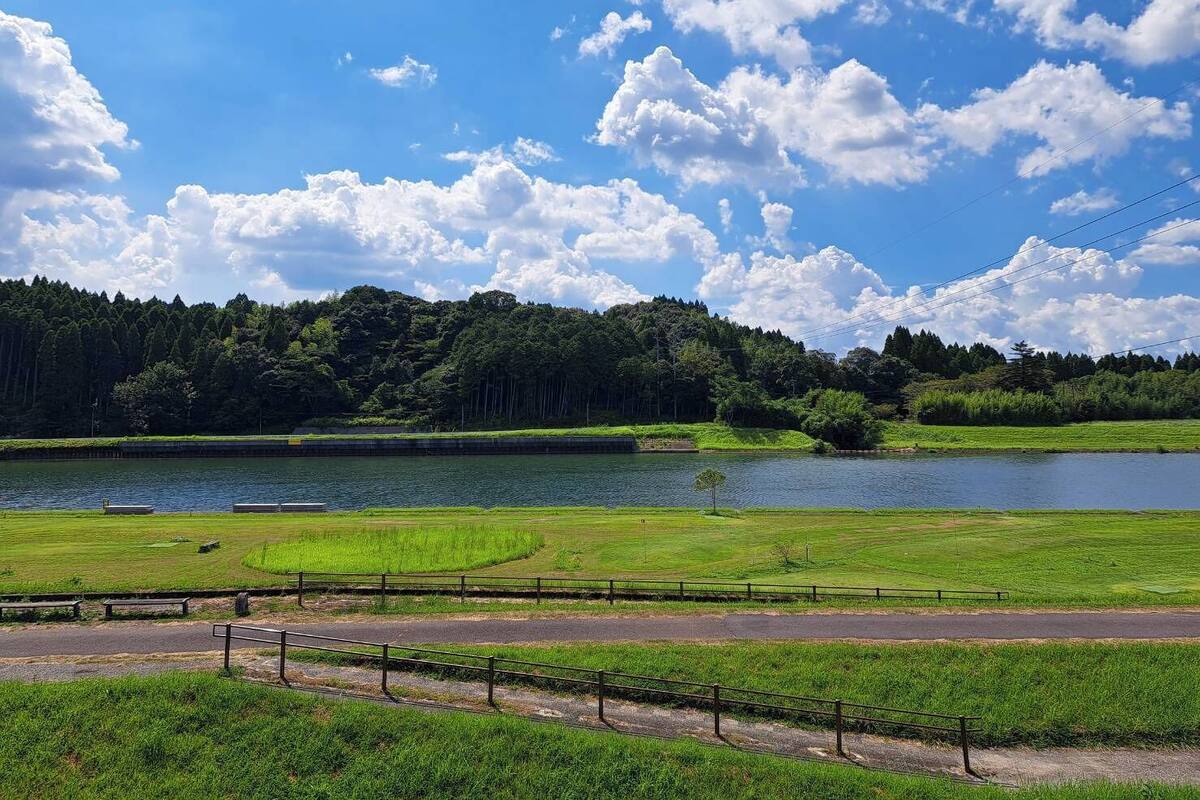 A park with a lake, grassy areas, and a road with a fence.