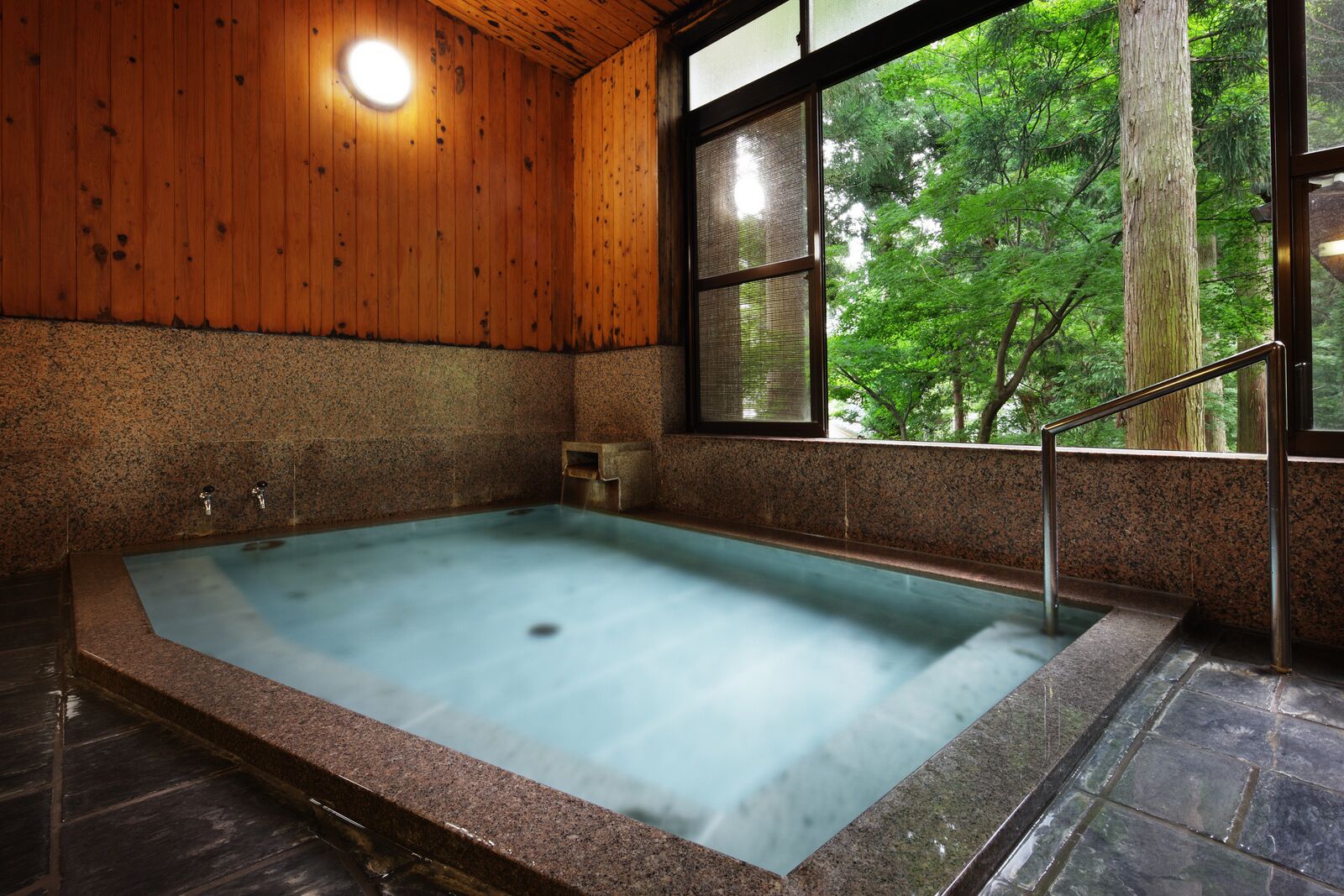 Wellness