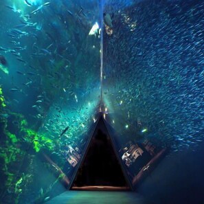 Miscellaneous - Hotel Sunshine Iwaki Annex (Iwaki)