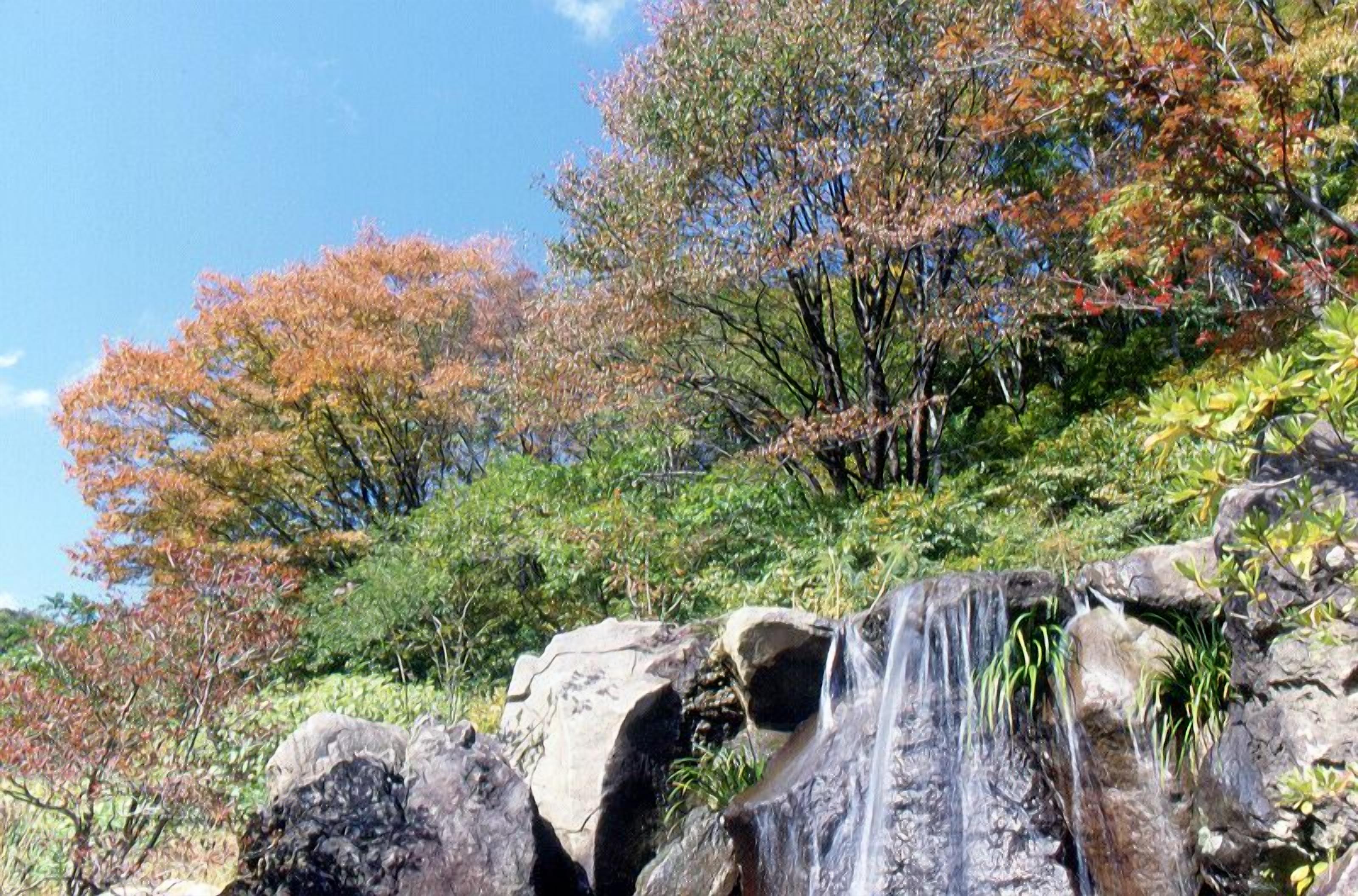A waterfall surrounded by rocks and trees with autumn foliage.