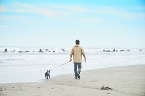 Beach - Eight Village (Kujukuri)