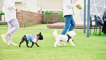 Parco della struttura