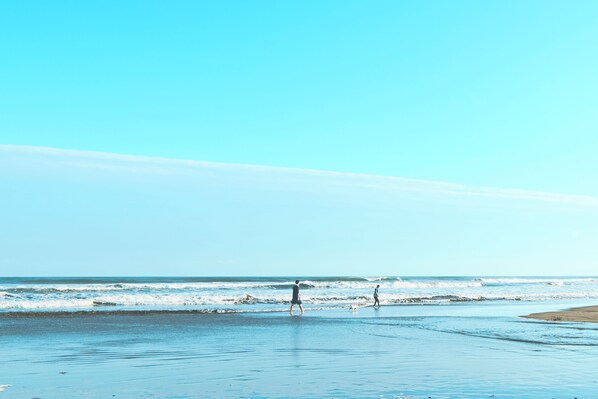 A beach with two people walking, clear skies, and calm ocean waves.