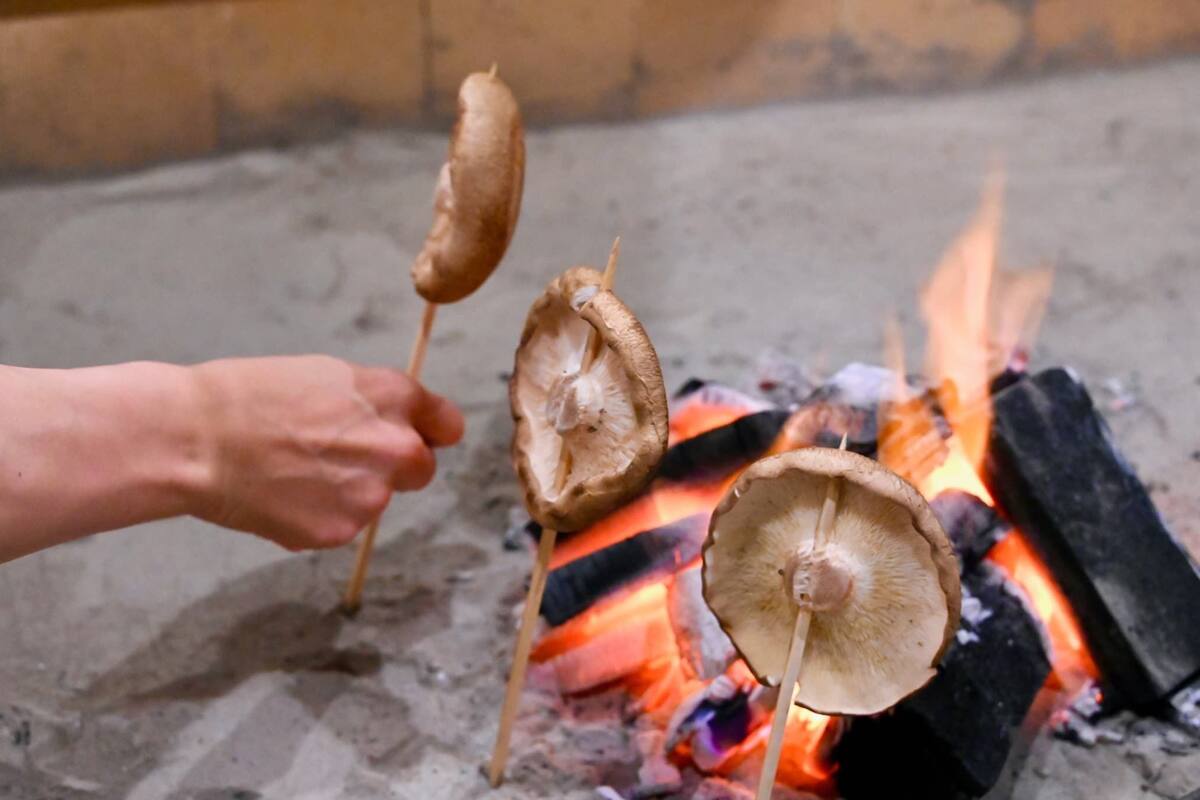 Eine Hand hält einen Pilz am Spieß über einem Feuer.