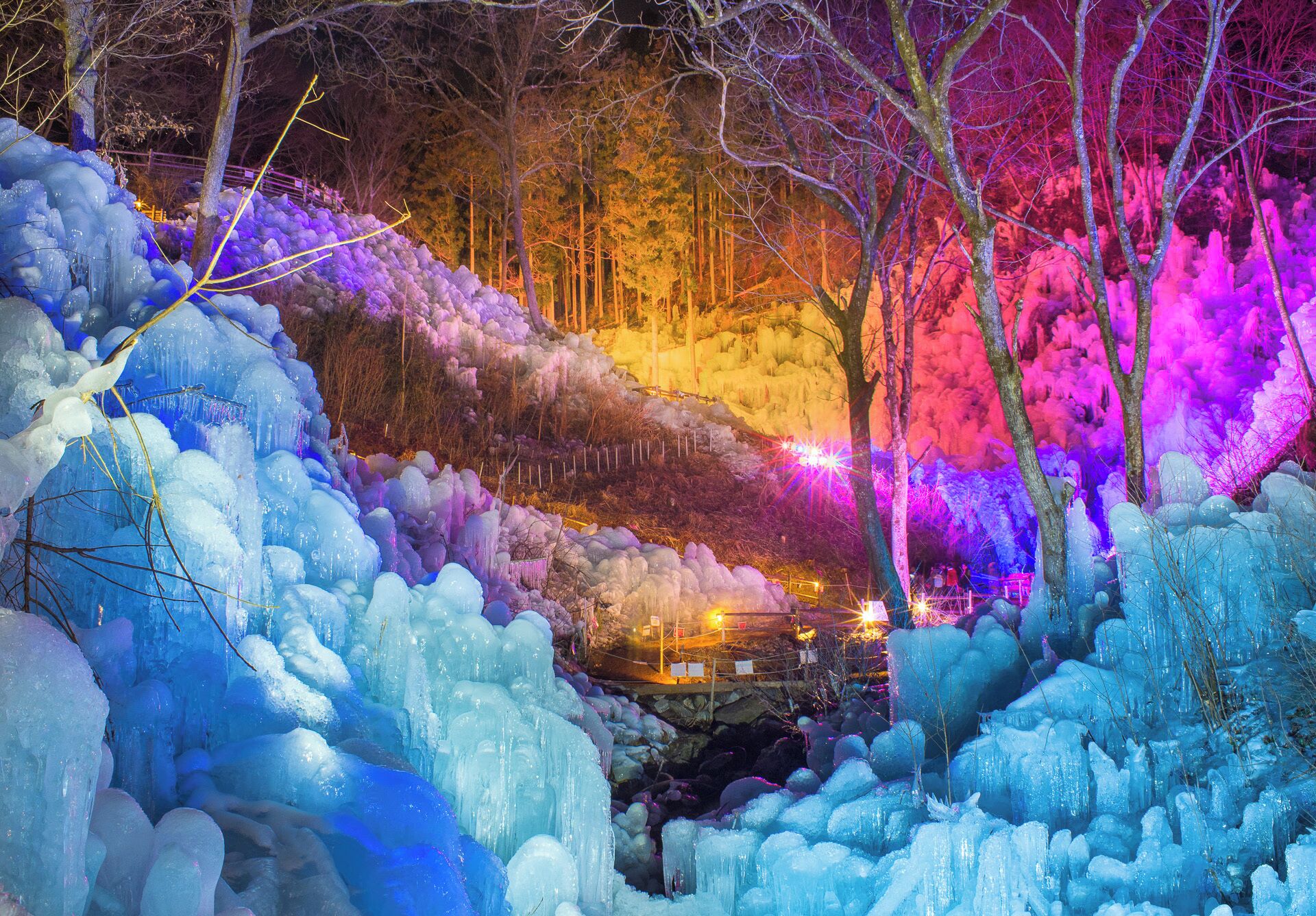 A nighttime scene with ice formations and trees, illuminated by colorful lights.