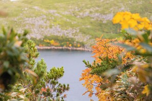 Miscellaneous - Unplan Residence Suite (Otari)