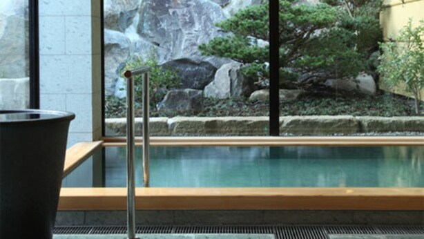 A pool with a wooden deck, a metal ladder, and a view of rocks and greenery outside. - Kamai Onsen Ippenan (Kyotango)