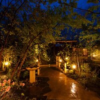 Un sendero de jardín nocturno con escalones de piedra, un arco de madera y luces colgantes.