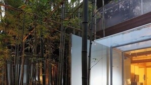 Un bâtiment moderne doté d’une façade en verre, d’une piscine et de bambous.