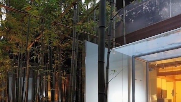 Un bâtiment moderne doté d’une façade en verre, d’une piscine et de bambous.