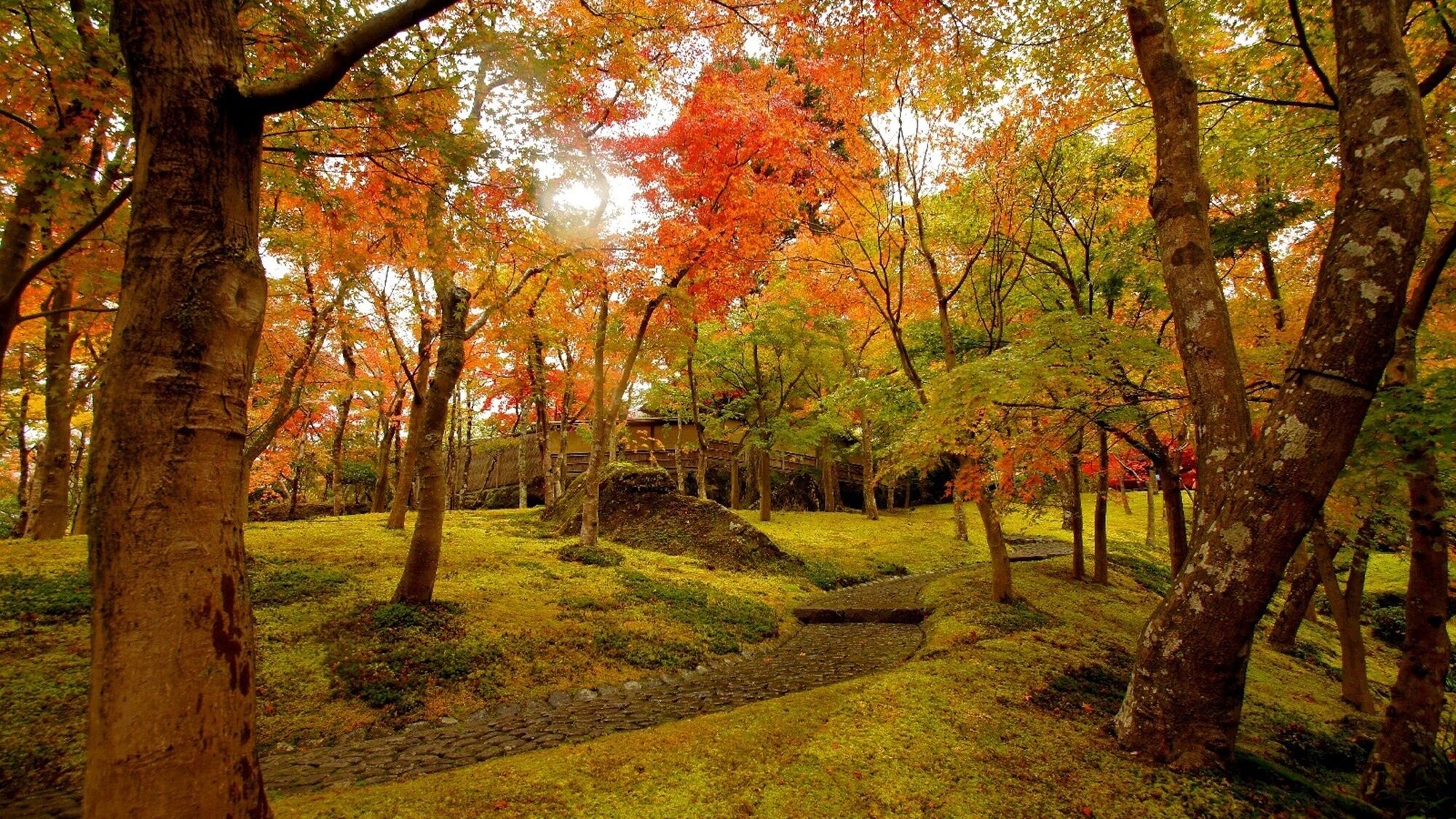 住宿一隅