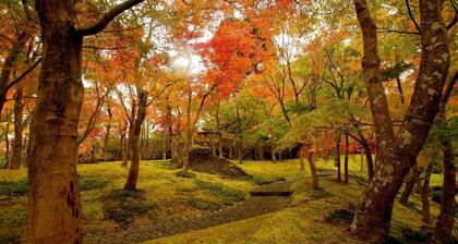 Ohiradai Onsen Hakone Reinanso