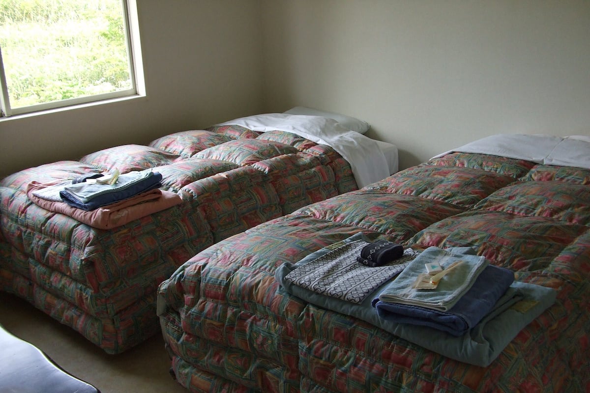 A room with two beds, each with a patterned bedspread, a bedside table, and a window with a view of greenery.