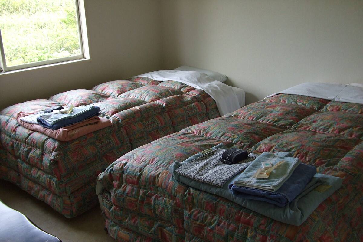 A room with two beds, each with a patterned bedspread, a bedside table, and a window with a view of greenery.