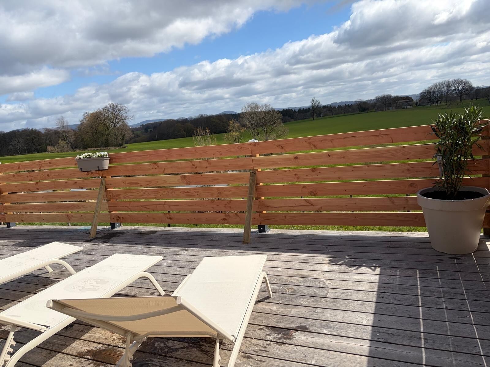 Een houten terras met een bank en lounge stoelen, een plant in een pot, en uitzicht op een groen veld en bomen.