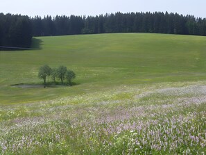 Golf - Gästehaus Josenmühle – Apartment Ringelblume with Mountain View, Shared Terrace (Titisee-Neustadt)