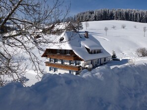 Esterni