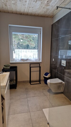 Regadera, secadora de cabello, toallas, papel de baño 