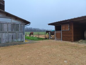 A stable with a horse, a wooden building, and a fenced area.