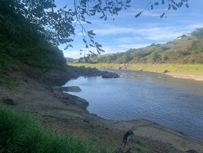 A riverbank with a rocky shoreline, greenery, and a distant hill.