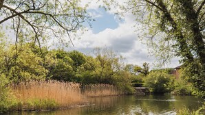 A serene riverside setting with wooden docks, lush greenery, and a distant building. - Manor Farm Cottages (Milton Keynes)