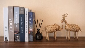 Ein Bücherregal mit Büchern, einem Schilferdiffusor und zwei gewebten Tierfiguren.