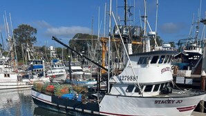 A marina with boats docked, including a white boat named 'STACEY JO' with the number '1279881'.