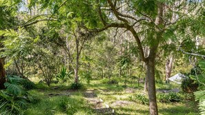 Property grounds - Bush to Beach Family & Fur Coastal Retreat (Moruya Heads)