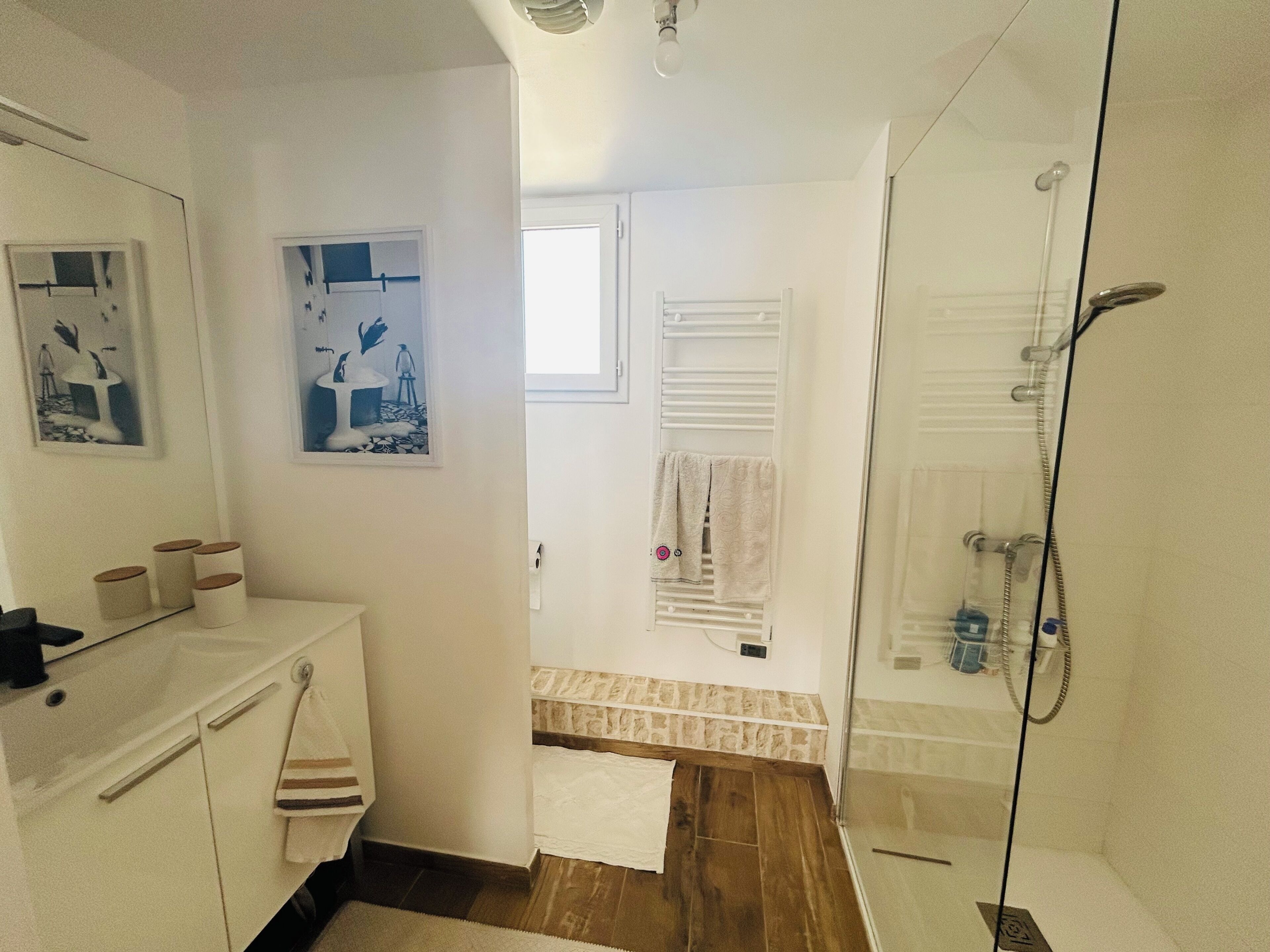 Hair dryer, towels, toilet paper