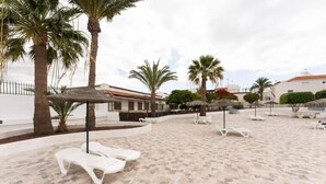 Una zona de playa con arena, sillas de descanso y palmeras.