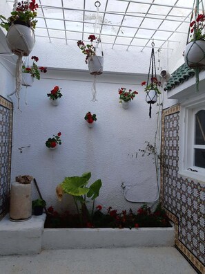 Exterior detail - Pieds dans l'eau, Ground floor house in Medina, Hammamet Centre (Hammamet)