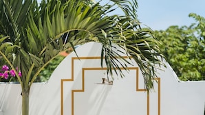 Weiße Wand mit goldener Umrandung, einer Dusche und einer kleinen Pflanze.