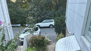 Un barrio residencial con una escalera de madera, un jardín con diversas plantas y flores, un coche blanco estacionado en la calle y un edificio blanco con techo de metal.