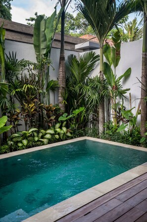 Pool - Villa Pereh in Pererenan (Pererenan)