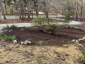 Property grounds - Pet friendly remote rural retreat in New Hill, NC. Very peaceful (New Hill)