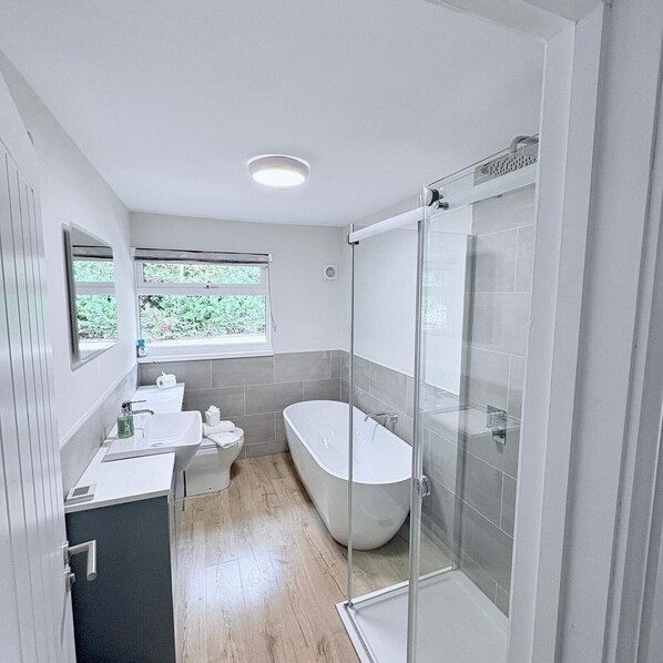 Shower, hair dryer, towels, toilet paper