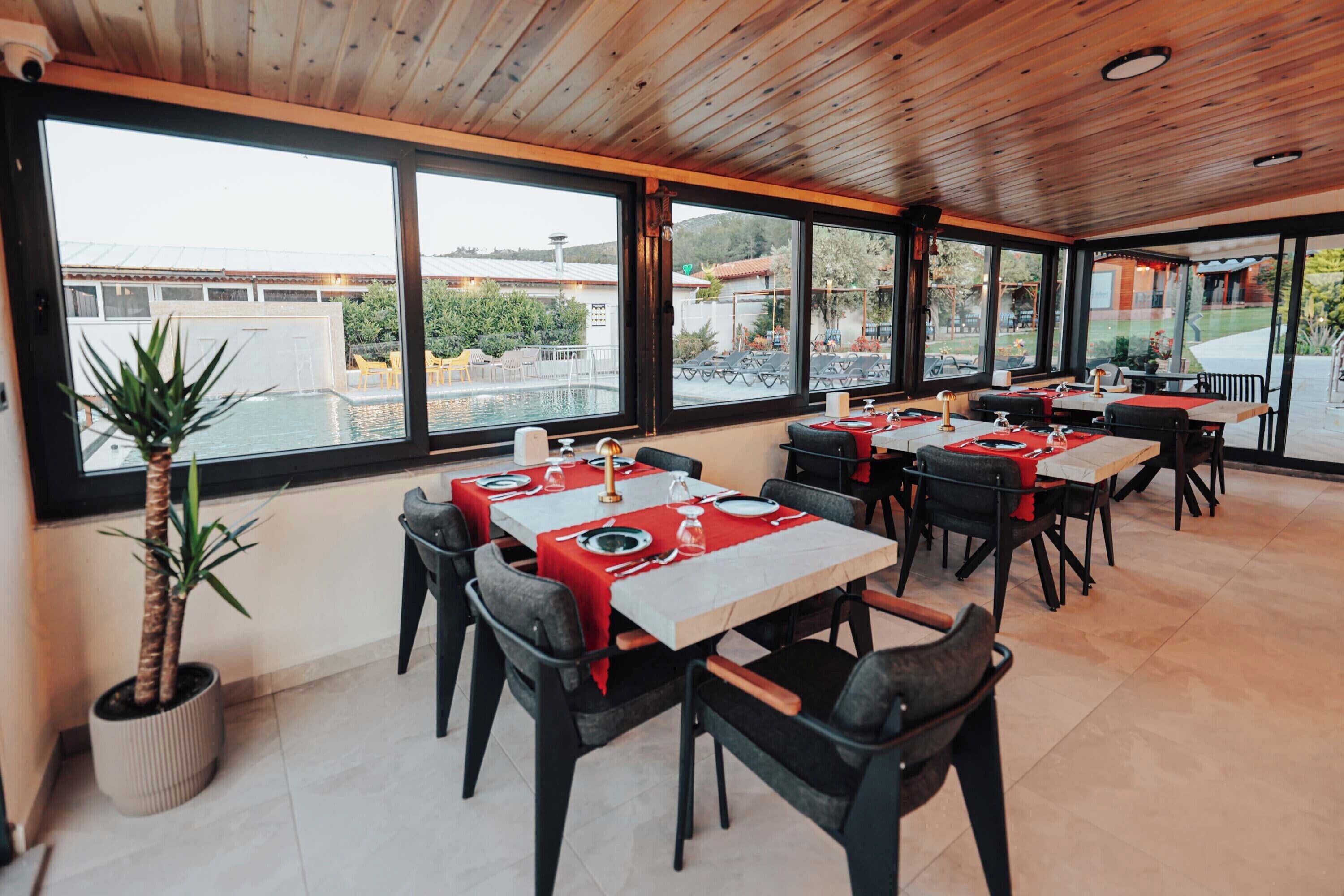 A restaurant with multiple tables and chairs, large windows, and a potted plant.