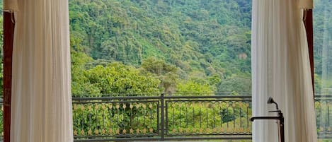 Suite presidencial, balcón, vista a la montaña | Interior