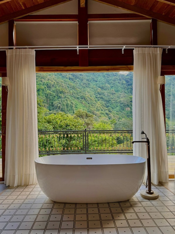 Suite presidencial, balcón, vista a la montaña | Interior